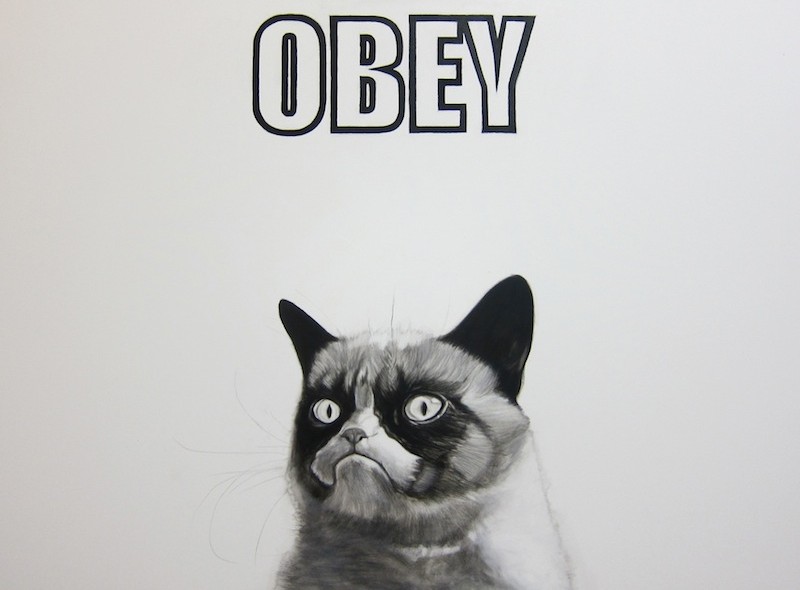 Meme2-Grumpycat