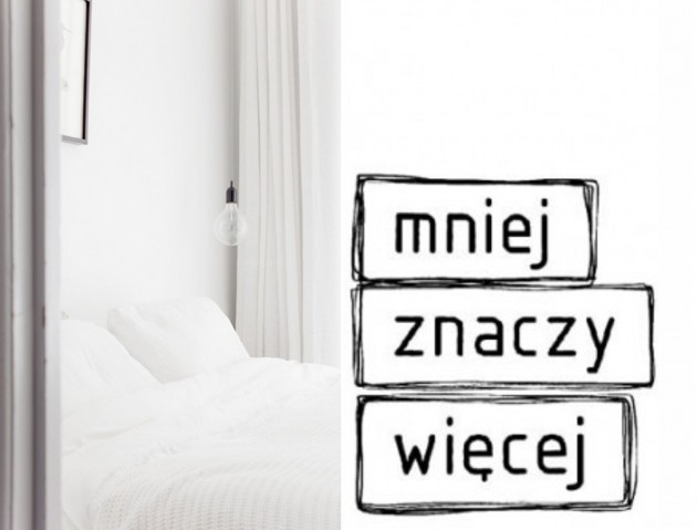 redukcja designu